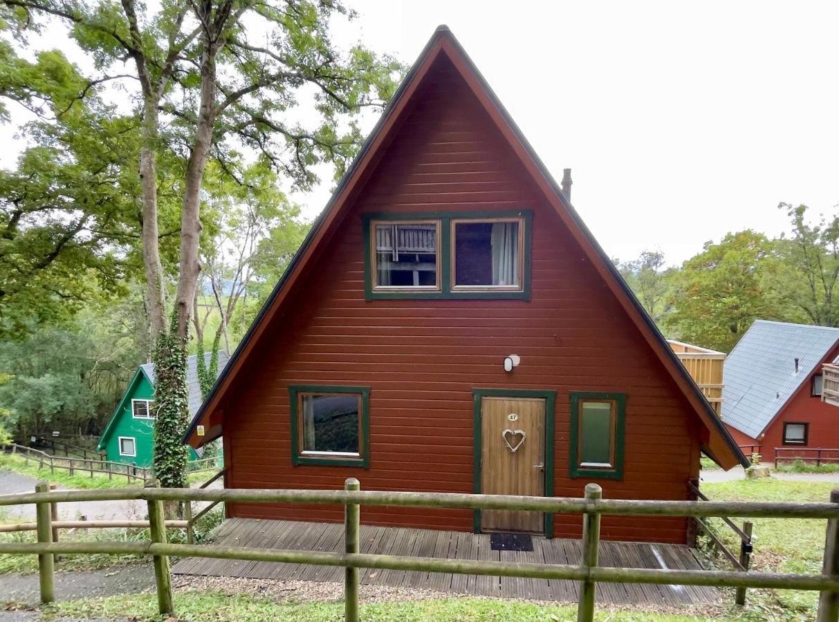 Spacious Primrose Lodge For 6 With Hot Tub At A Spa Resort Chudleigh Екстериор снимка